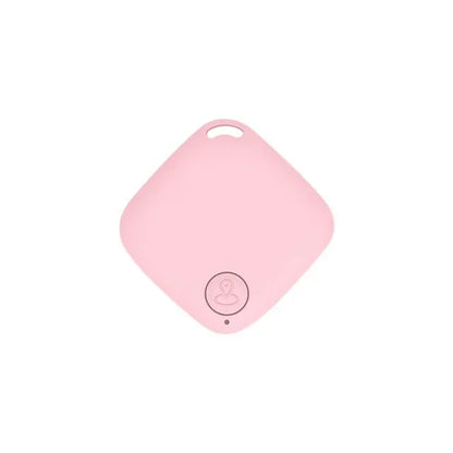 Bluetooth Pet Tracker Tag