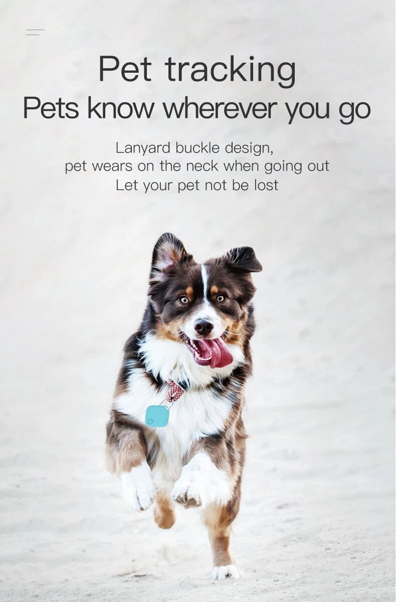 Bluetooth Pet Tracker Tag