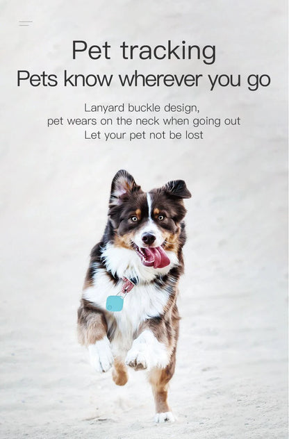 Bluetooth Pet Tracker Tag
